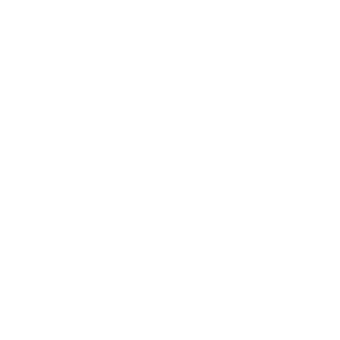 THE EGG ADVISOR